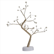 Buy Gominimo Wood Desk Lamp Bonsai Lighted Tree