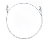 Buy 8ware CAT6 Ultra Thin Slim Cable 0.25m / 25cm - White