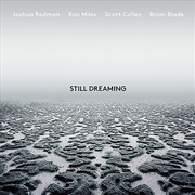 Buy Still Dreaming