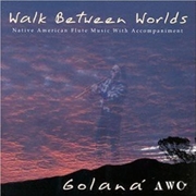 Buy Walk Between Worlds