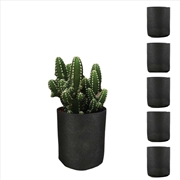 Buy 6 Pck 1 Gallon Fabric Flower Pots 3.8L Garden Planter Bags Black Felt Root Pouch