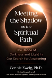 Buy Meeting the Shadow on the Spiritual Path