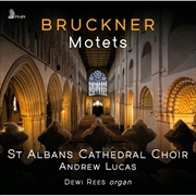 Buy Bruckner: Motets