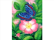 Buy Blue Butterfly 1000 Piece