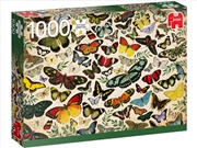 Buy Butterfly Poster 1000 Piece