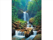 Buy Mystic Falls 1000 Piece