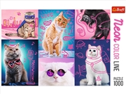 Buy Neon Colour Line Cats 1000 Piece