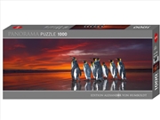 Buy Panorama King Penguins 1000 Piece