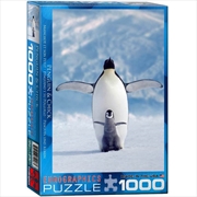 Buy Penguin And Chick 1000 Piece