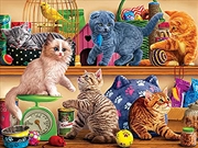 Buy Pet Shop Kittens 1000 Piece