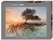 Buy Red Mangrove 1000 Piece