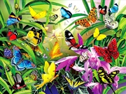 Buy Tropical Butterflies 1000 Piece