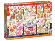 Buy Tulips From Holland 1000 Piece