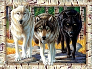 Buy Wolf Pack Colours 1000 Piece