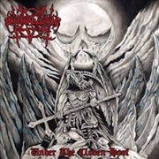 Buy Satan Chaos Blood And Terror