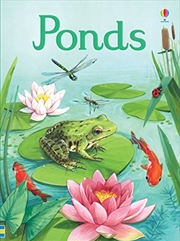 Buy Ponds (Beginners)