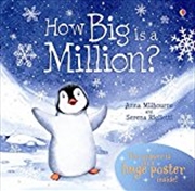 Buy How Big Is A Million? (Usborne Picture Storybooks)