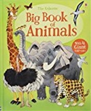 Buy Big Book of Animals (Big Books) (Big Books of Big Things)