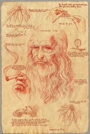 Buy Da Vinci Pot