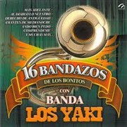 Buy 16 Bandazos Bonitos