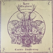 Buy Cosmic Awakening