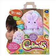 Buy Curlimals Bo Bunny