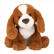 Buy Spaniel Kian 25cm