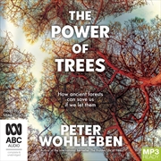 Buy Power of Trees How Ancient Forests Can Save Us If We Let Them, The