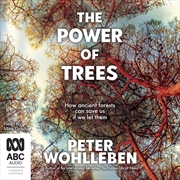 Buy Power of Trees How Ancient Forests Can Save Us If We Let Them, The