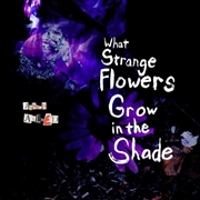 Buy What Strange Flowers In The Shade