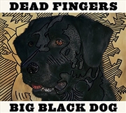 Buy Big Black Dog