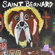 Buy Saint Bernard