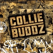 Buy Collie Buddz