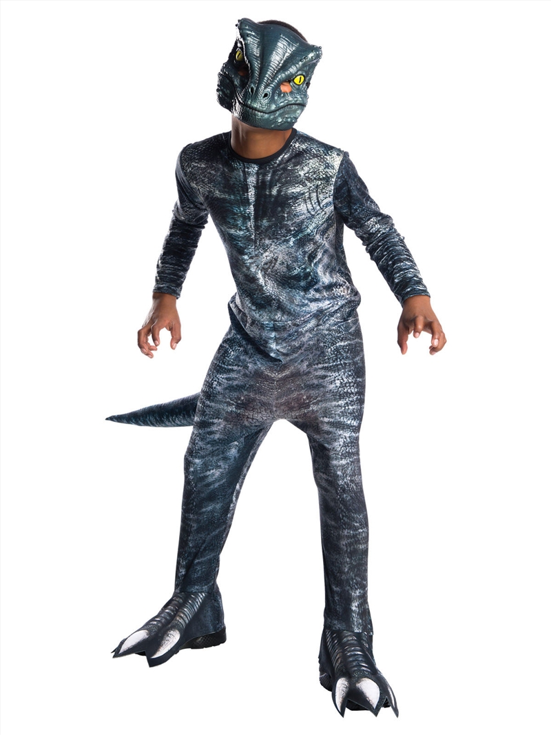 Velociraptor Blue Costume- 3-5/Product Detail/Costumes