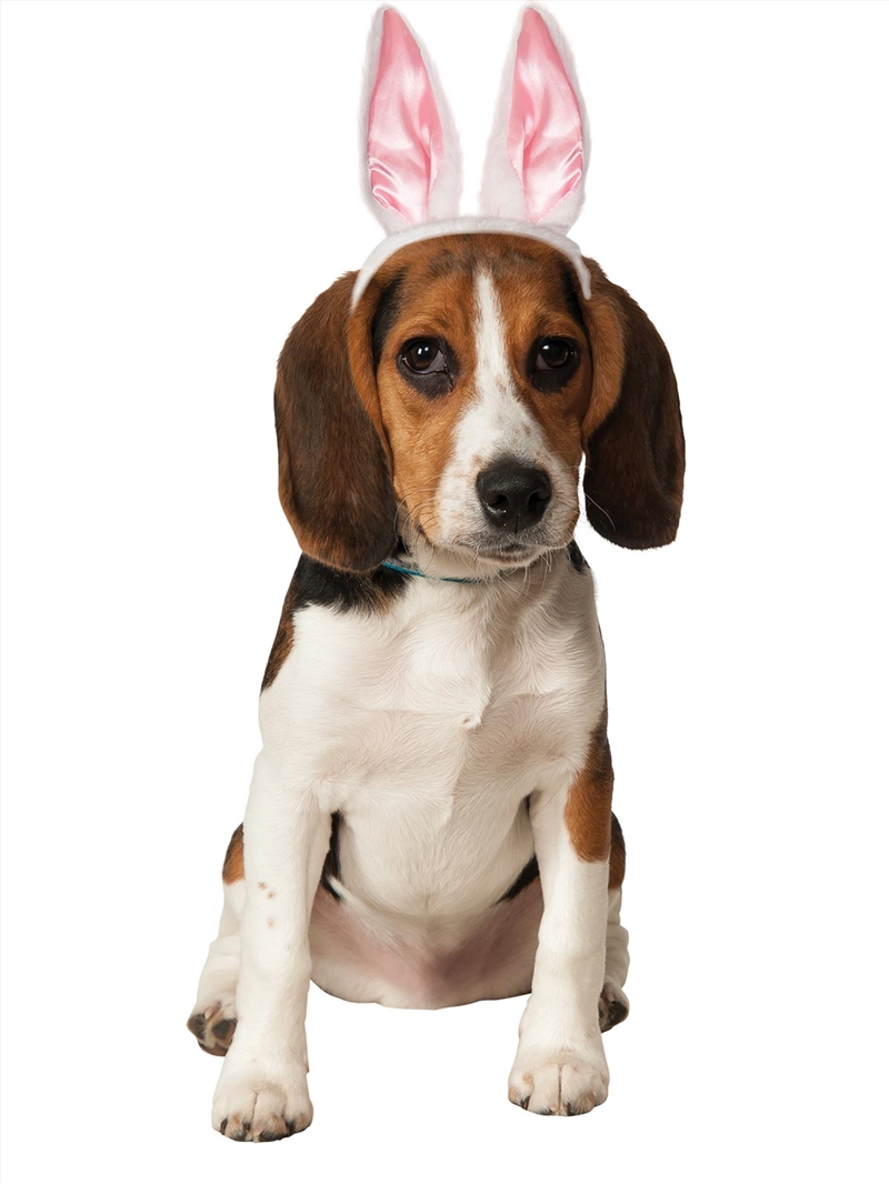 Bunny Ears Pet Accessory -  Size M-L/Product Detail/Costumes