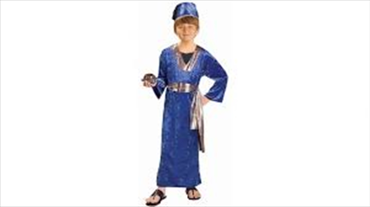 Wiseman Blue Costume - Size L (12-14)/Product Detail/Costumes