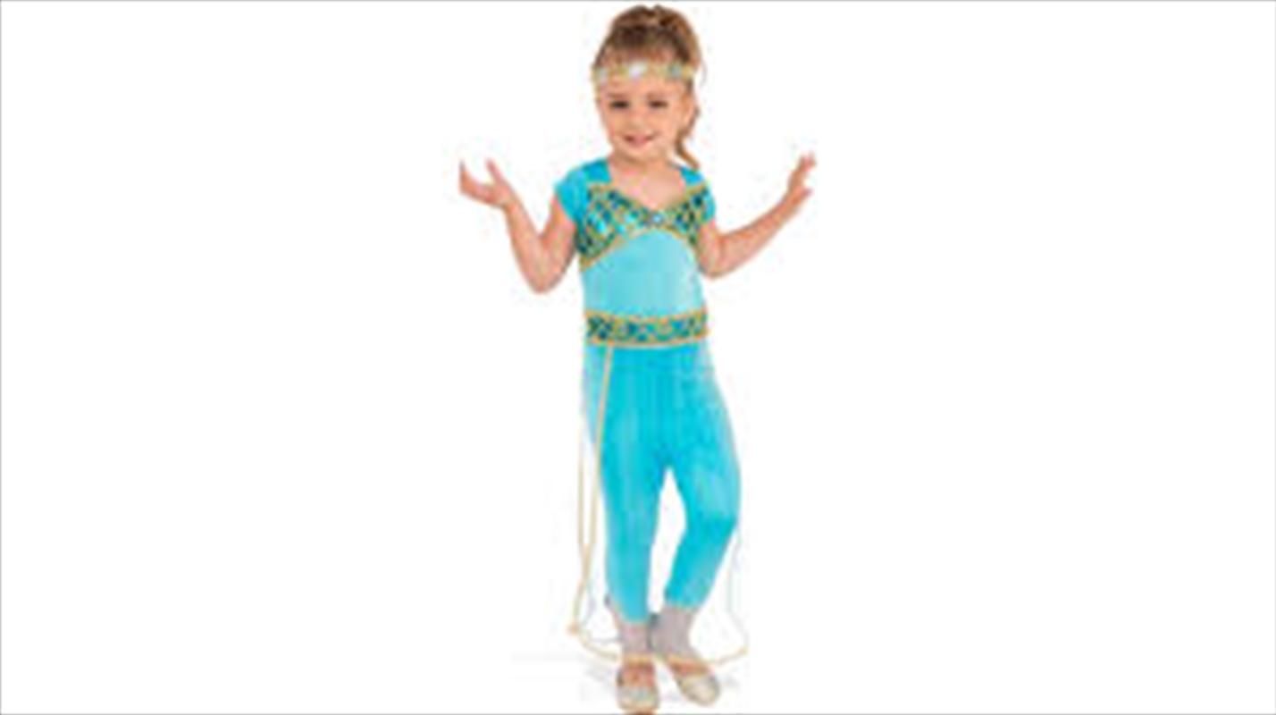 Arabian Princess Costume - Size L/Product Detail/Costumes