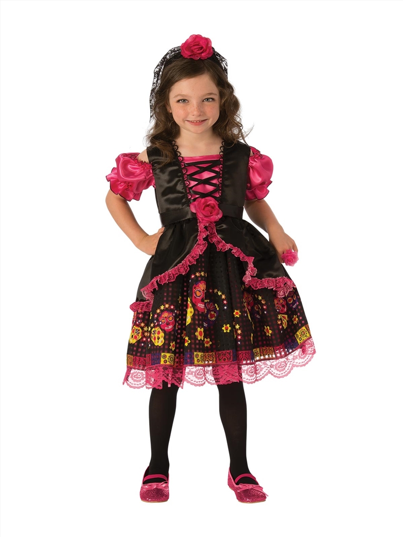 Day Of The Dead Girls Costume - Size M/Product Detail/Costumes