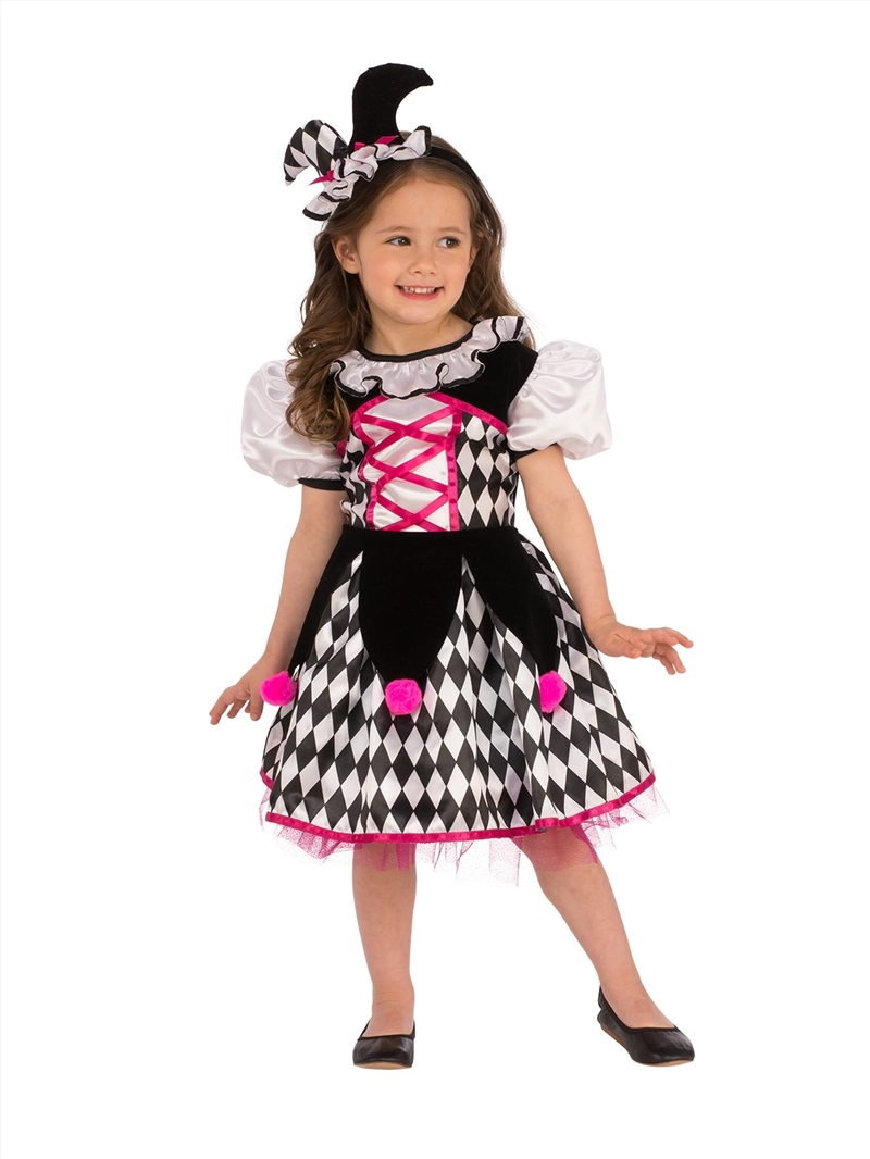 Jester Girl Costume - Size M/Product Detail/Costumes