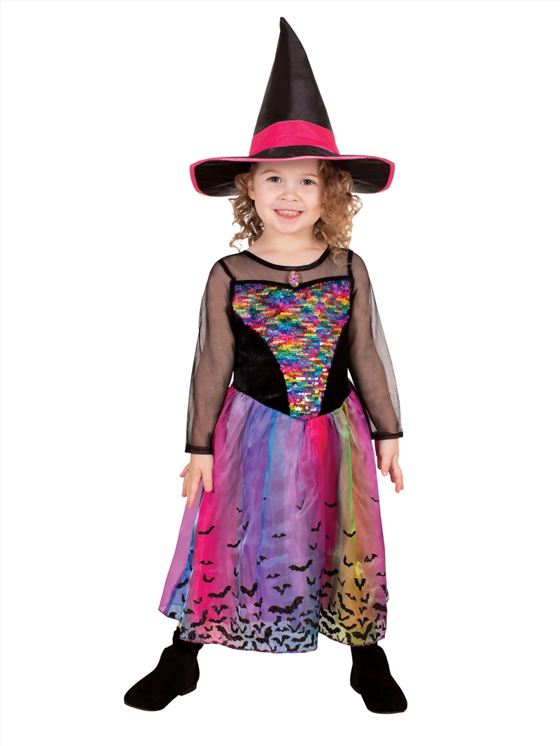 Rainbow Colour Magic Witch Deluxe Costume - Size L/Product Detail/Costumes