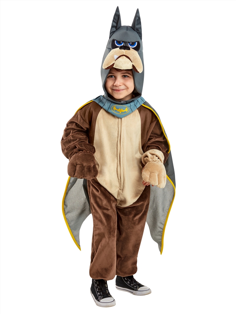 Ace Deluxe Dc Super Pets Costume - Size T (2-3 Yr)/Product Detail/Costumes