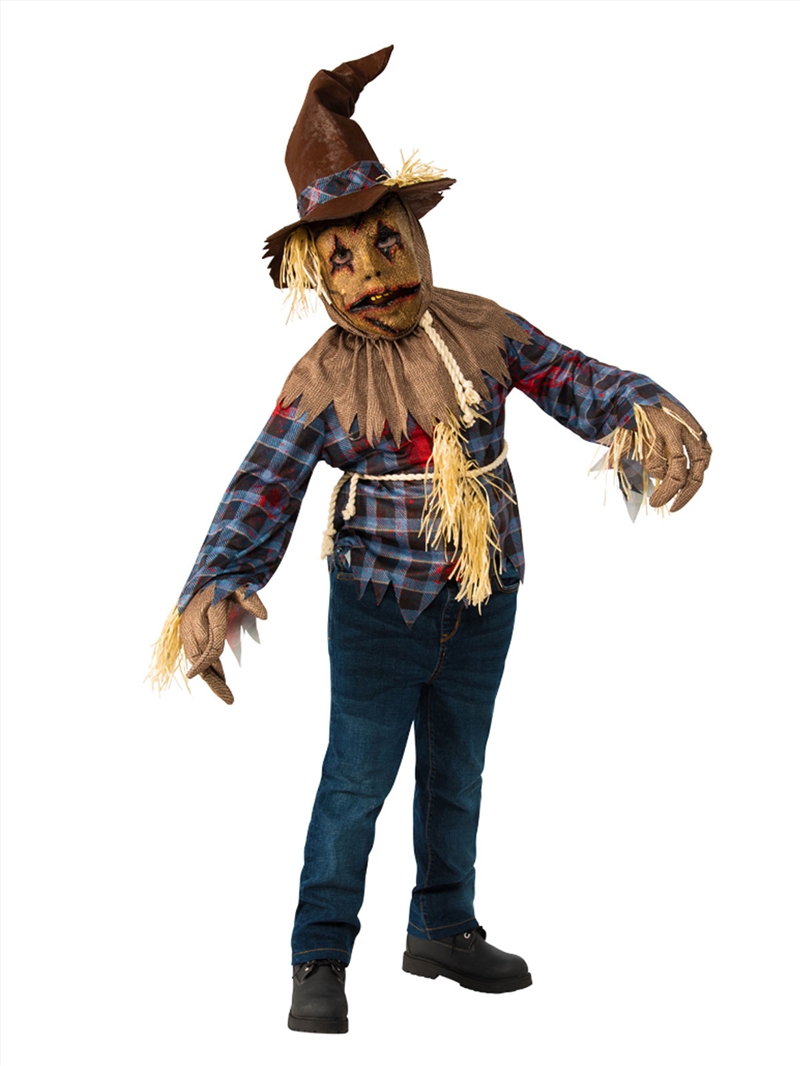 Scarecrow Costume - Size L/Product Detail/Costumes