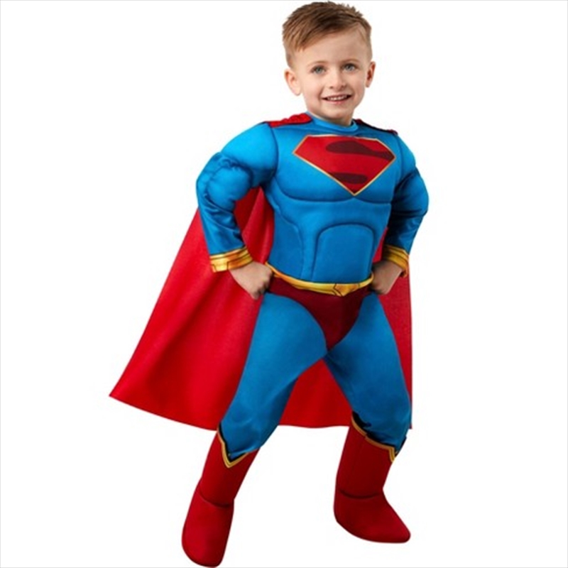 Superman Classic Dc Super Pets Costume - Size S/Product Detail/Costumes