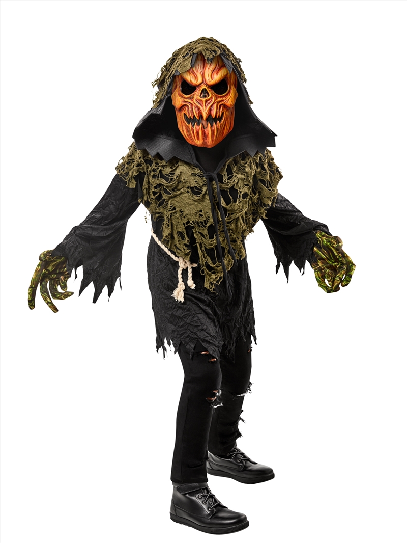 Pumpkin Ghoul Kids Costume - Size L/Product Detail/Costumes