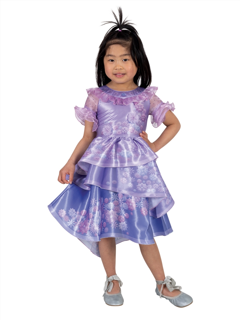 Isabela Deluxe Encanto Costume - Size Toddler/Product Detail/Costumes