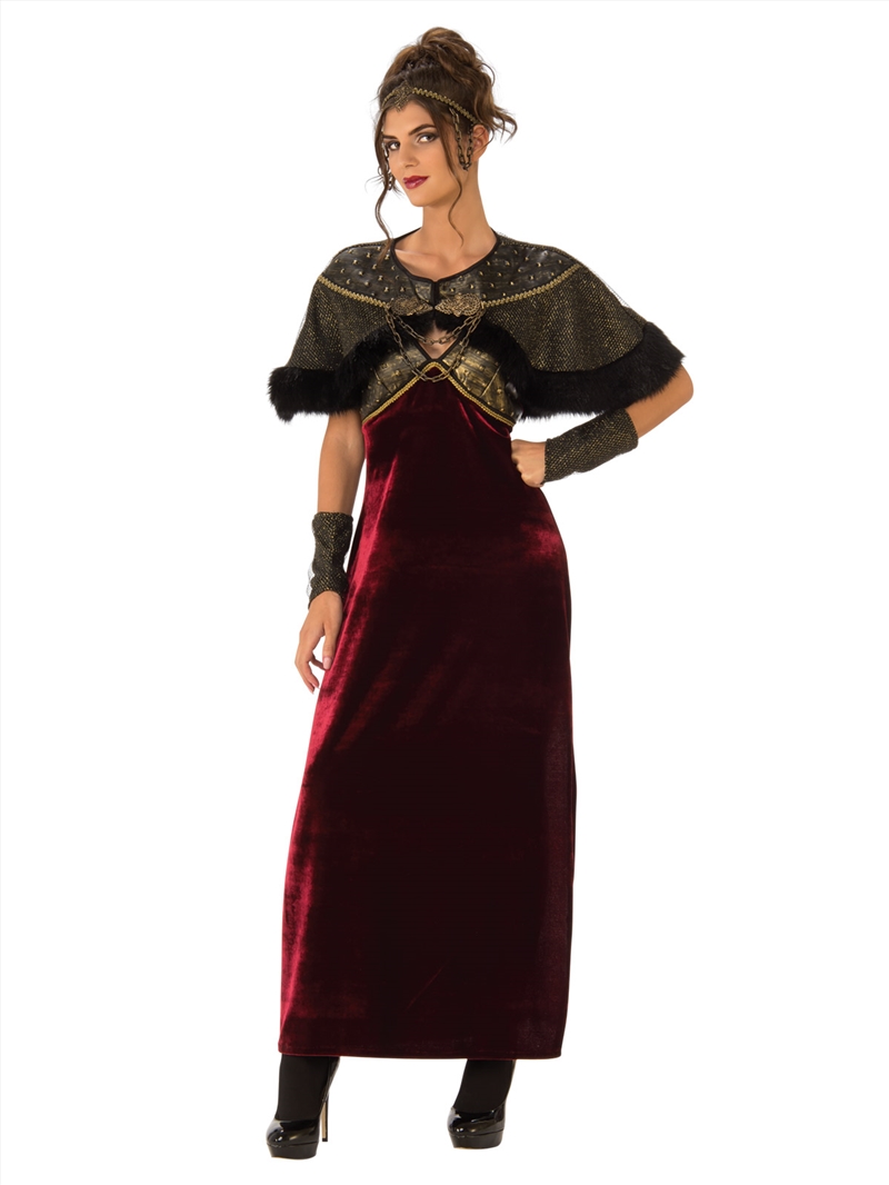 Medieval Lady Costume - Size L/Product Detail/Costumes