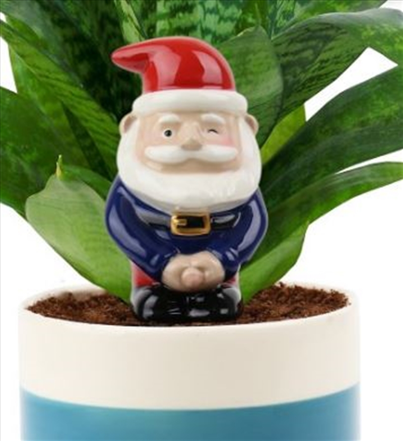 Peeing Gnome – Self Watering Planter/Product Detail/Outdoor