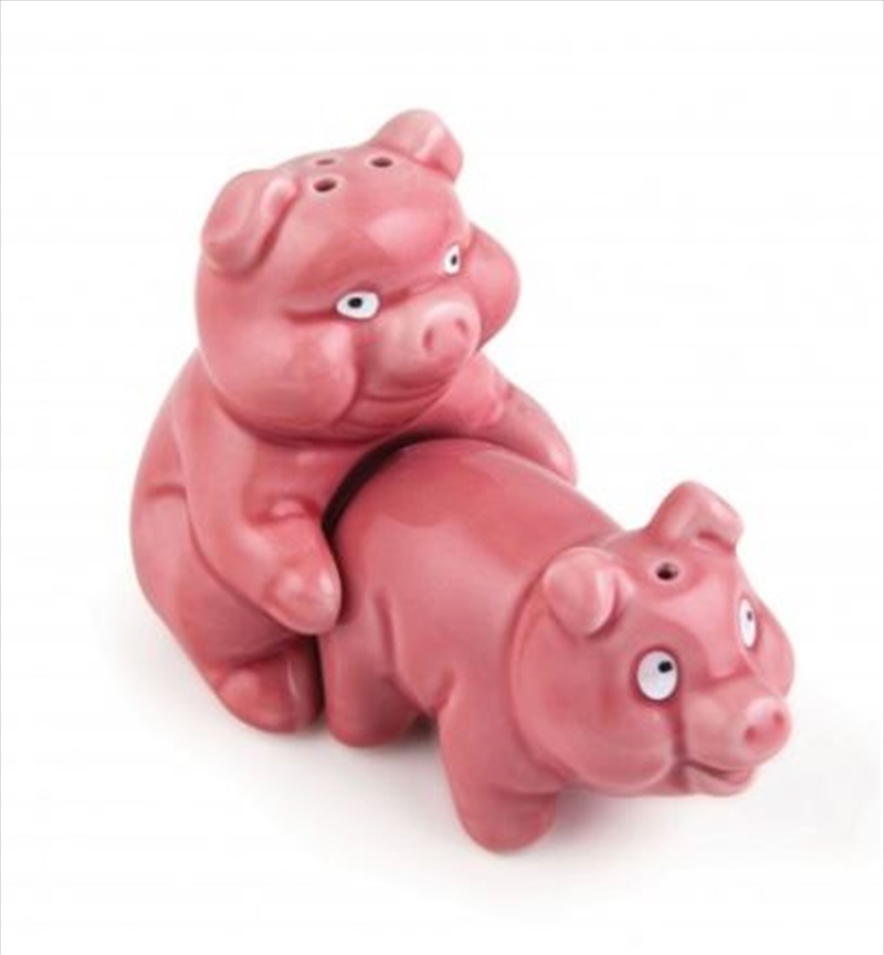 Bigmouth - Naughty Pig Salt & Pepper Shaker Set/Product Detail/Homewares