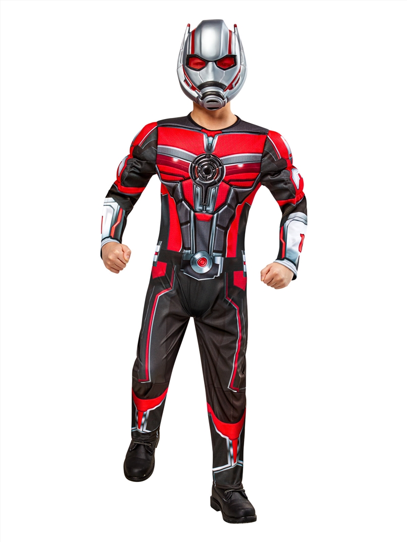 Ant-Man Quantumania Deluxe Costume - Size Xs 5-6/Product Detail/Costumes