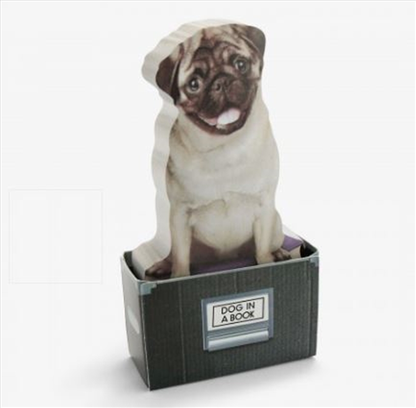 Mustard – Dog In A Box Sticky Notes (150 sheets)/Product Detail/Stationery